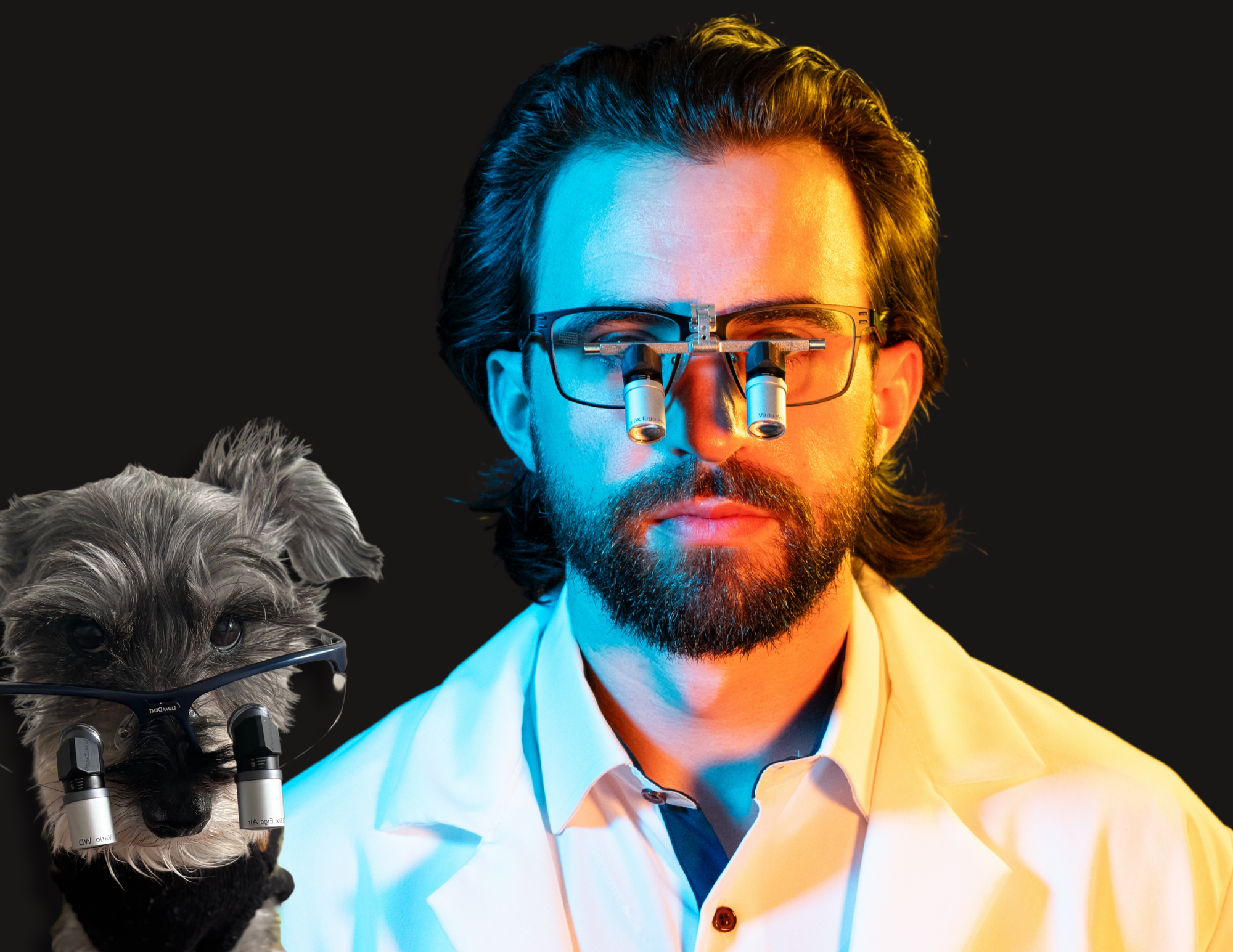 Preventing Tech Neck in Veterinary Practice