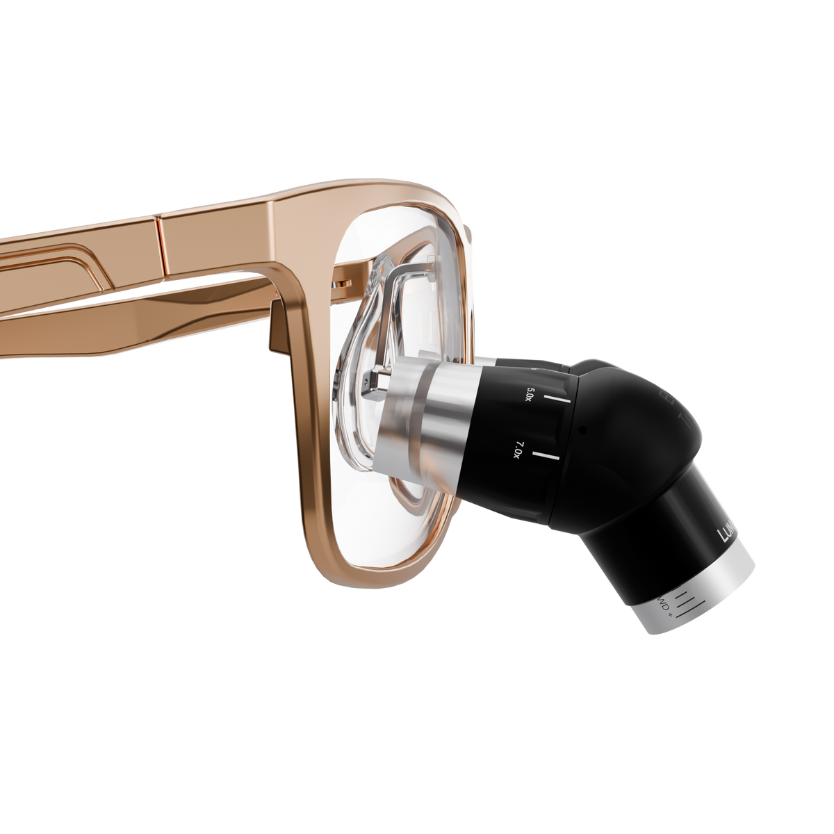 NEW Ergo Trinity TTL Loupes