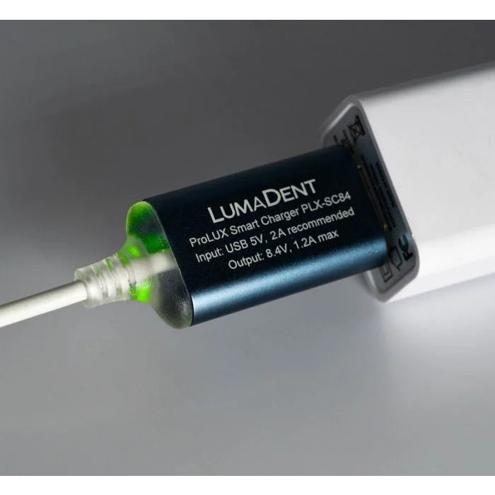 ProLUX USB Smart Charger