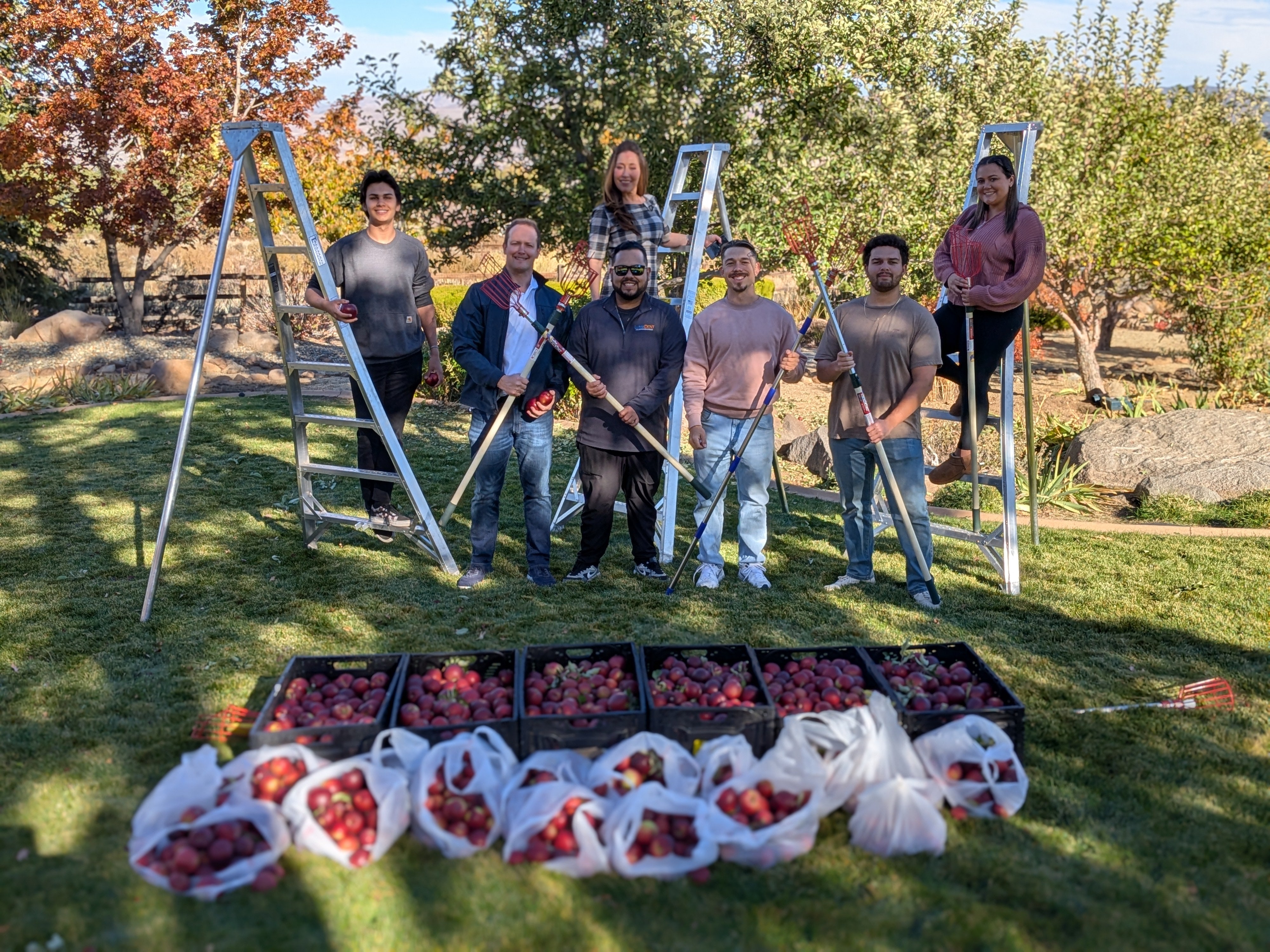 LumaDent Joins Reno Gleaning Project to Support Local Health and Community Well-being