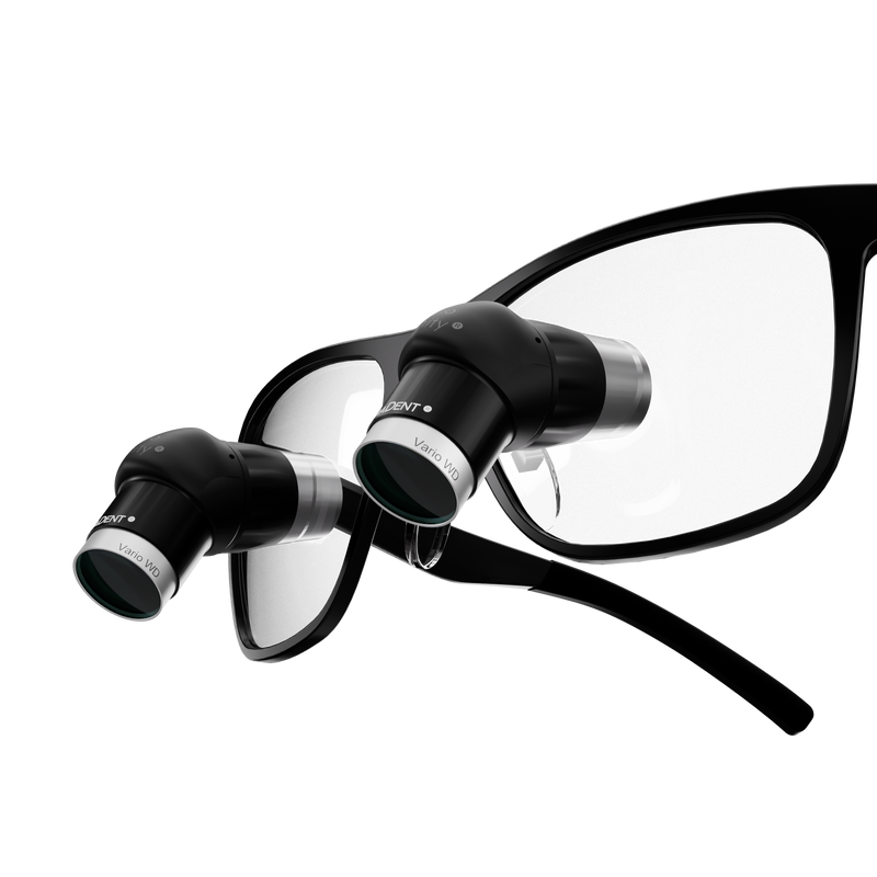 NEW Ergo Trinity TTL Loupes