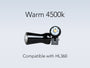 LumaDent LED Module