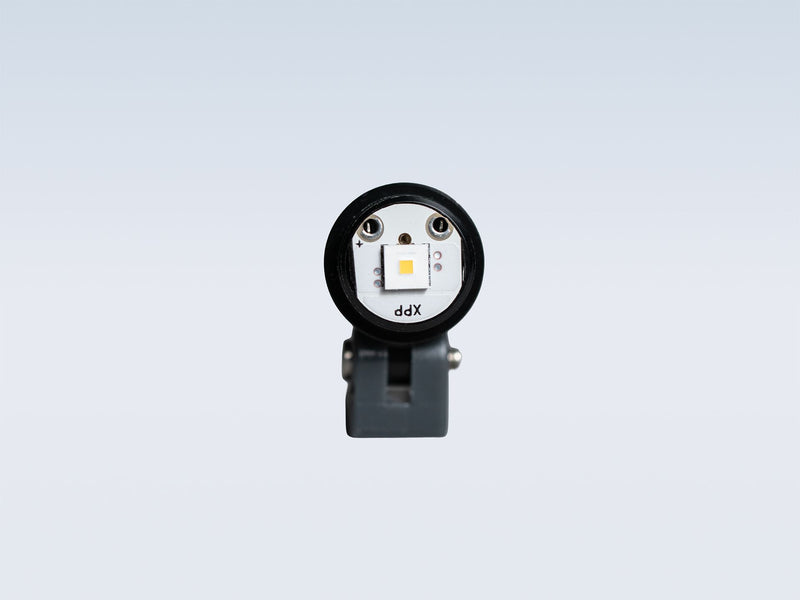 LumaDent LED Module