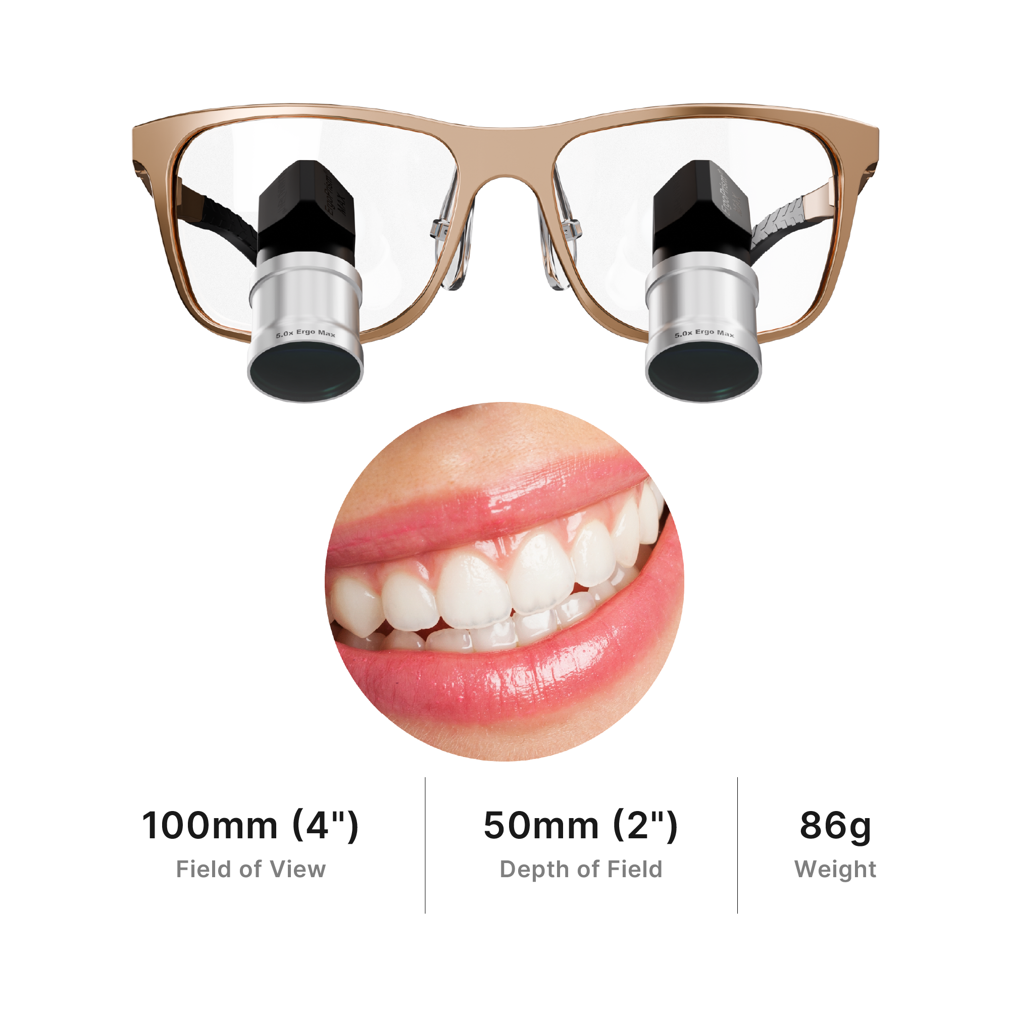 Ergo Max TTL Loupes