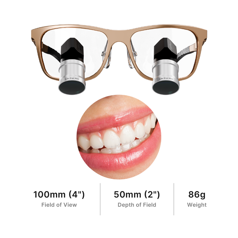 Ergo Max TTL Loupes - Student Offer