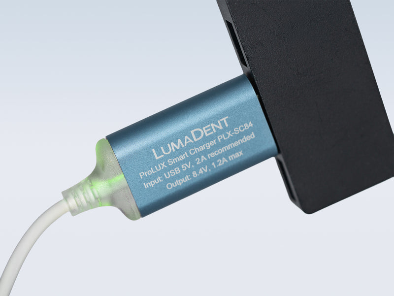ProLUX USB Smart Charger