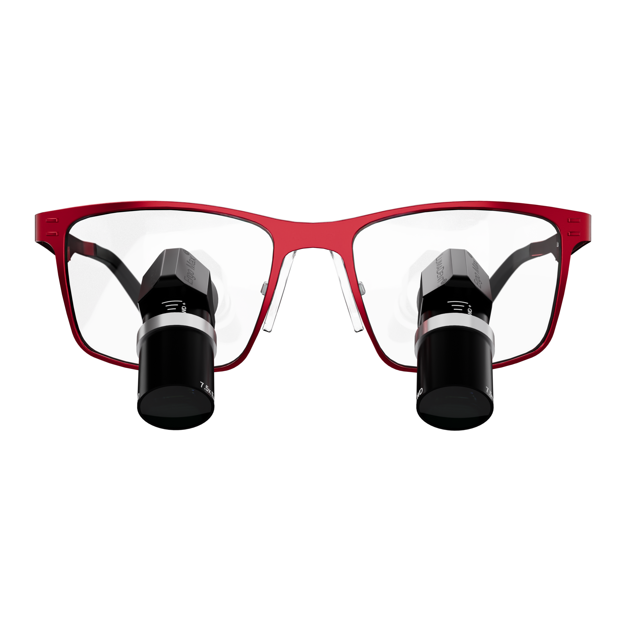 Ergo Max Ti TTL Loupes