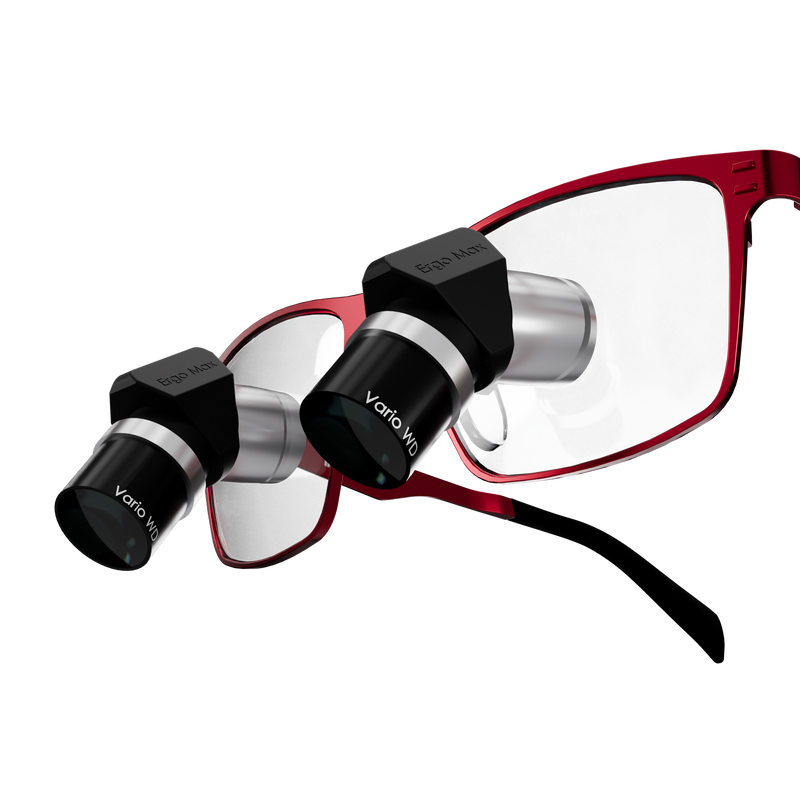 NEW Ergo Max TTL Loupes - 4th Gen