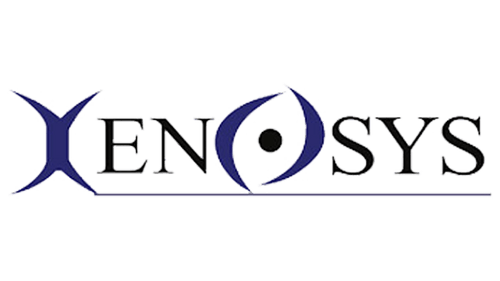 Xenosys - Mount Instructions 